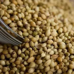 Coriander Seeds image